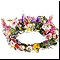 ����� ��������� [5]