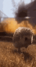 ����� �5209