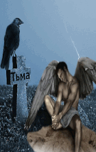 ����� �5532