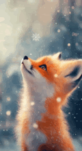 ����� �6062